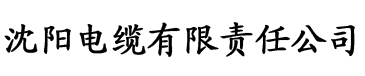 亚洲欧美乱日韩乱国产电缆厂logo